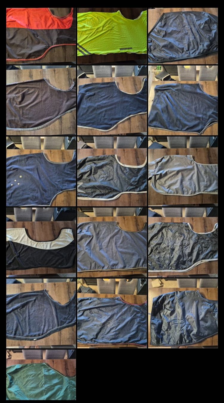 Brides, licols: 16 Decken Lot / Set (Einzelabnahme möglich) – Neuf (Voir description) à Meggen par Orrinka20