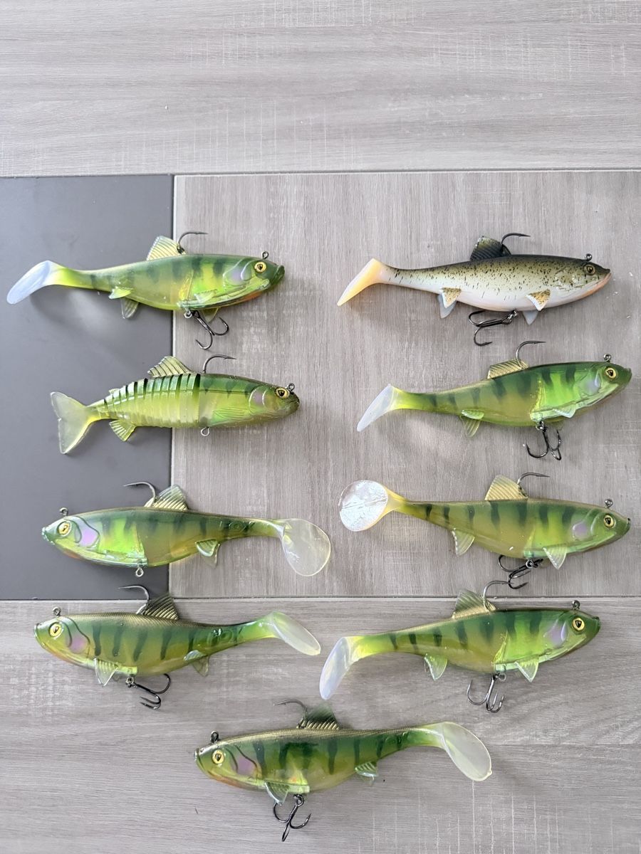 Köder: Leurres Fox Rage Replicant 23Cm – Neu (gemäss Beschreibung) aus Thônex von Damienforestier