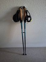 Decathlon hiking stick