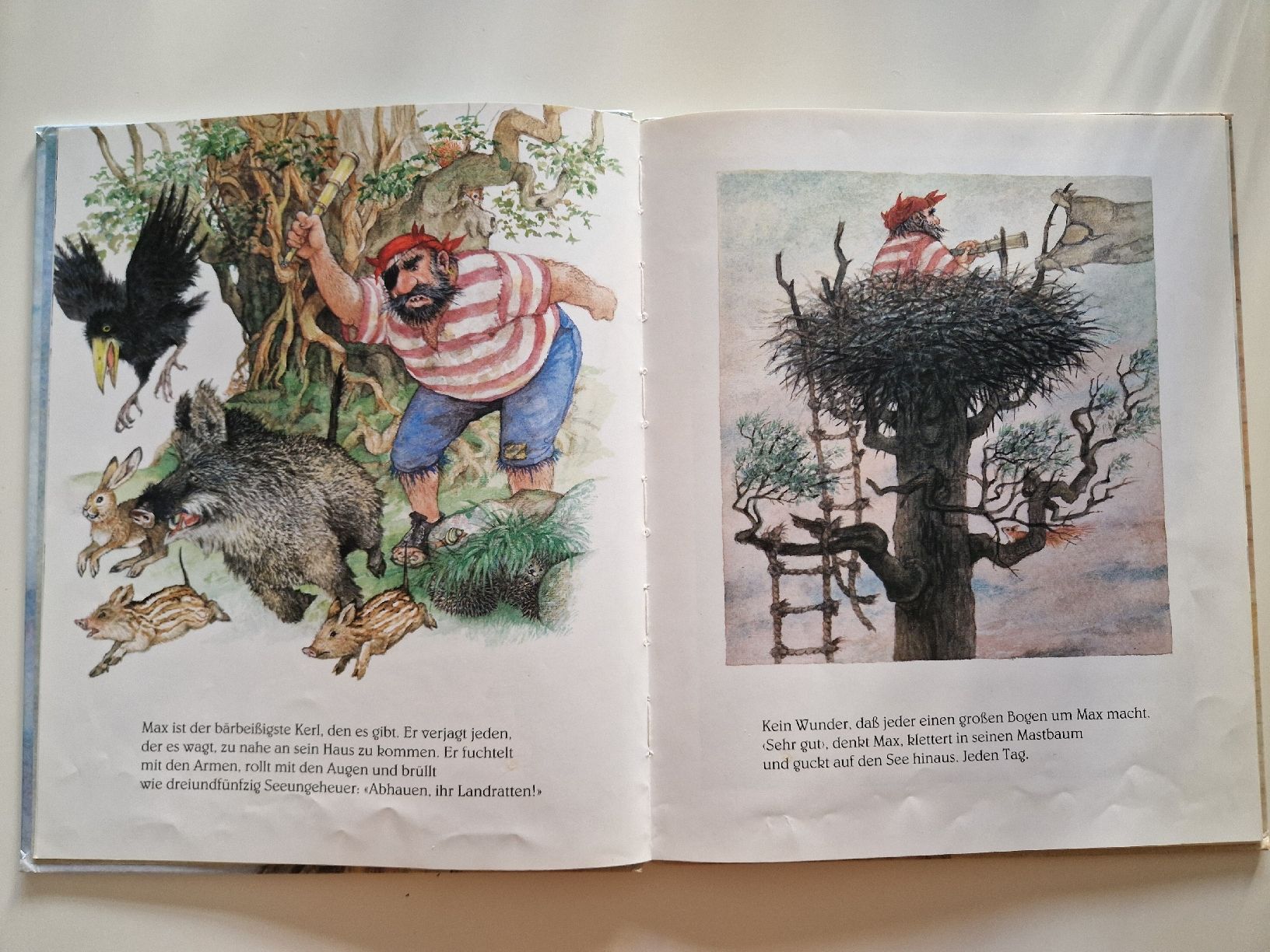 Bücher: Kinderbuch "Max oder Seebär und Landratte" – Gebraucht aus Innerberg von Noe25 3