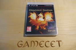 Dragon's Dogma