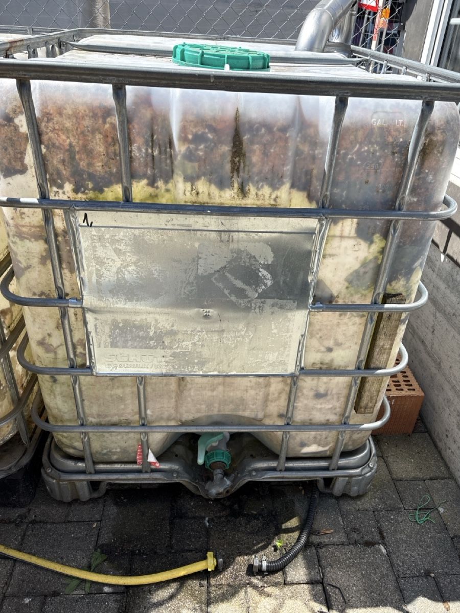 Abbeveratoi e trogoli: Wassertank 1000L gebraucht für Wasser oder Regenwassernut – Usato da Berg SG venduto da Mix70