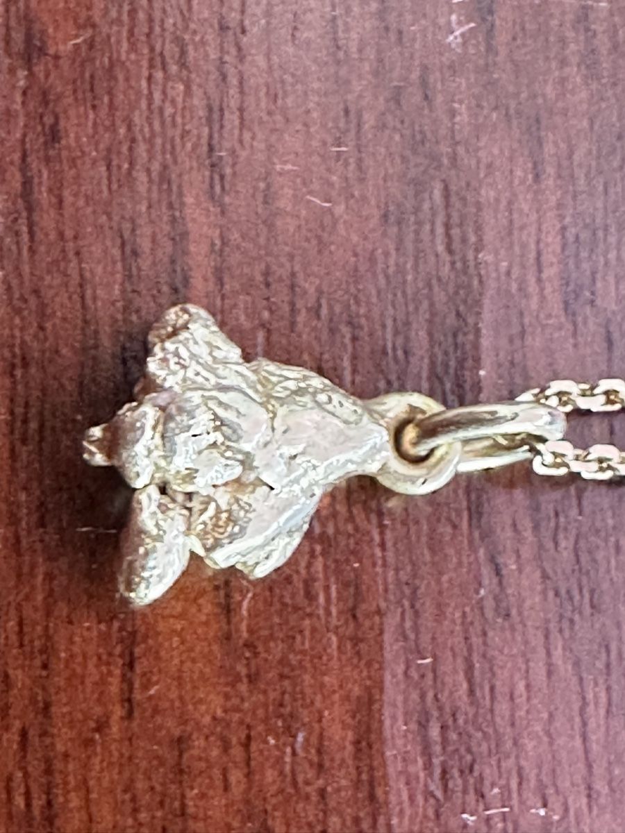 Metalli preziosi: Alaska Yukon Gold Nugget – Nuovo (secondo la descrizione) da Herbriggen venduto da Sehrazade 1