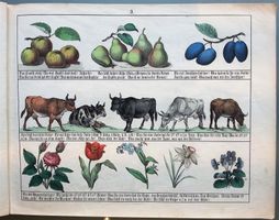 Neues Bilderbuch für Kinder bis 7 Jahren, 1. Auflage 1847