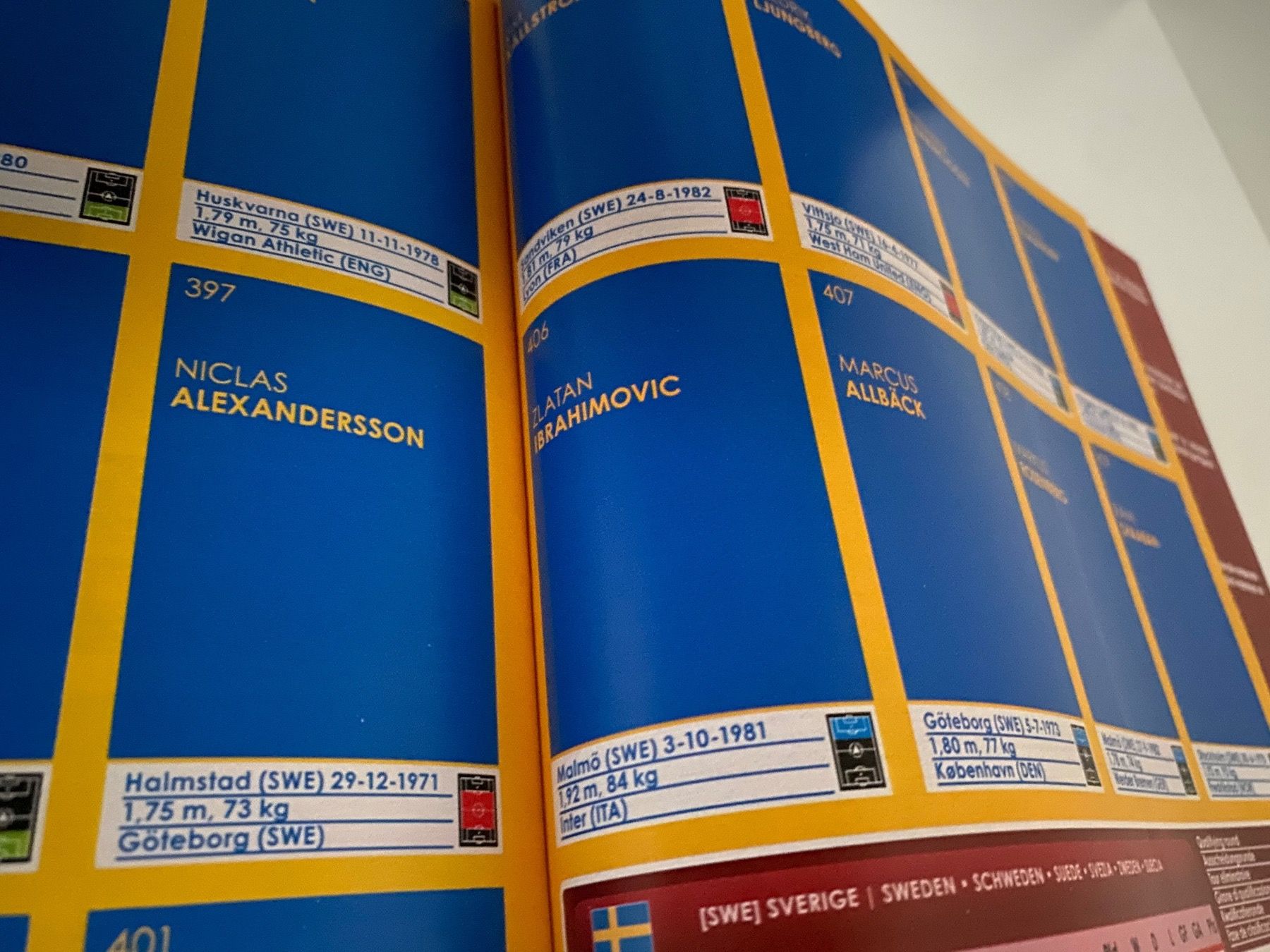 Panini Album: Panini Leeralbum EM 2008 - Sehr seltene Version – Usato da Hergiswil LU venduto da FcMalkov 5