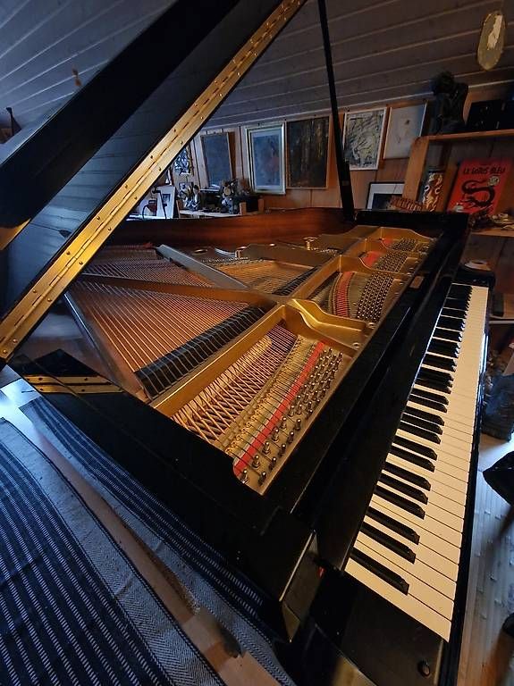 Strumenti musicali: Piano RX3 Conservatory 11000 fr – Usato da Les Bois venduto da chr_f8vy 2