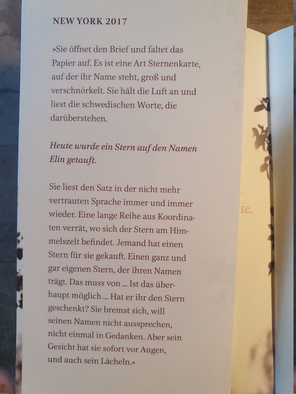Livres: Ein halbes Herz Sofia Lundberg Gioldmann – D'occasion à Zürich par loosebone 1