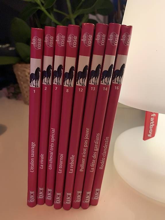 Libri: Livre collection rose Ranch Ghost secret – Usato da Bussigny venduto da Gadz10 1