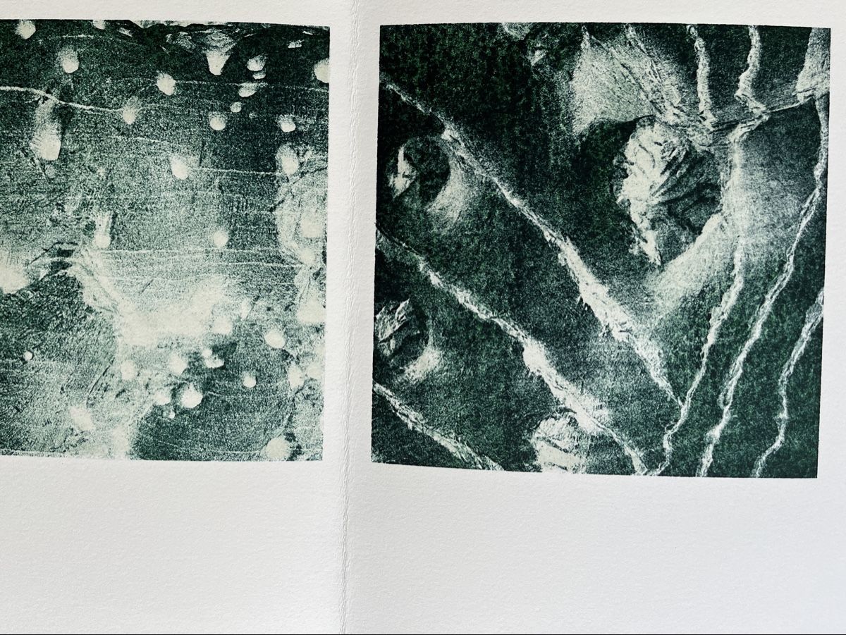 Grafica & Litografie: Lithographie Peter Kamm  – Usato da Zürich venduto da kirkdada 1