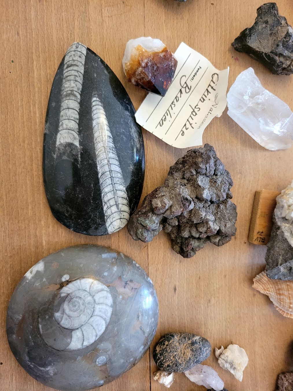 Pietre preziose: Sammlung Halbedelsteine, Ammoniten, Muscheln – Usato da Bern venduto da MoeDoe 9