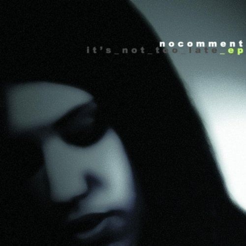 CDs: No comment - it's not too late – Gebraucht aus Uzwil von visions77
