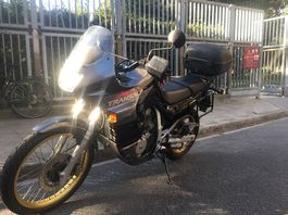 Honda Transalp 600 expertisée 