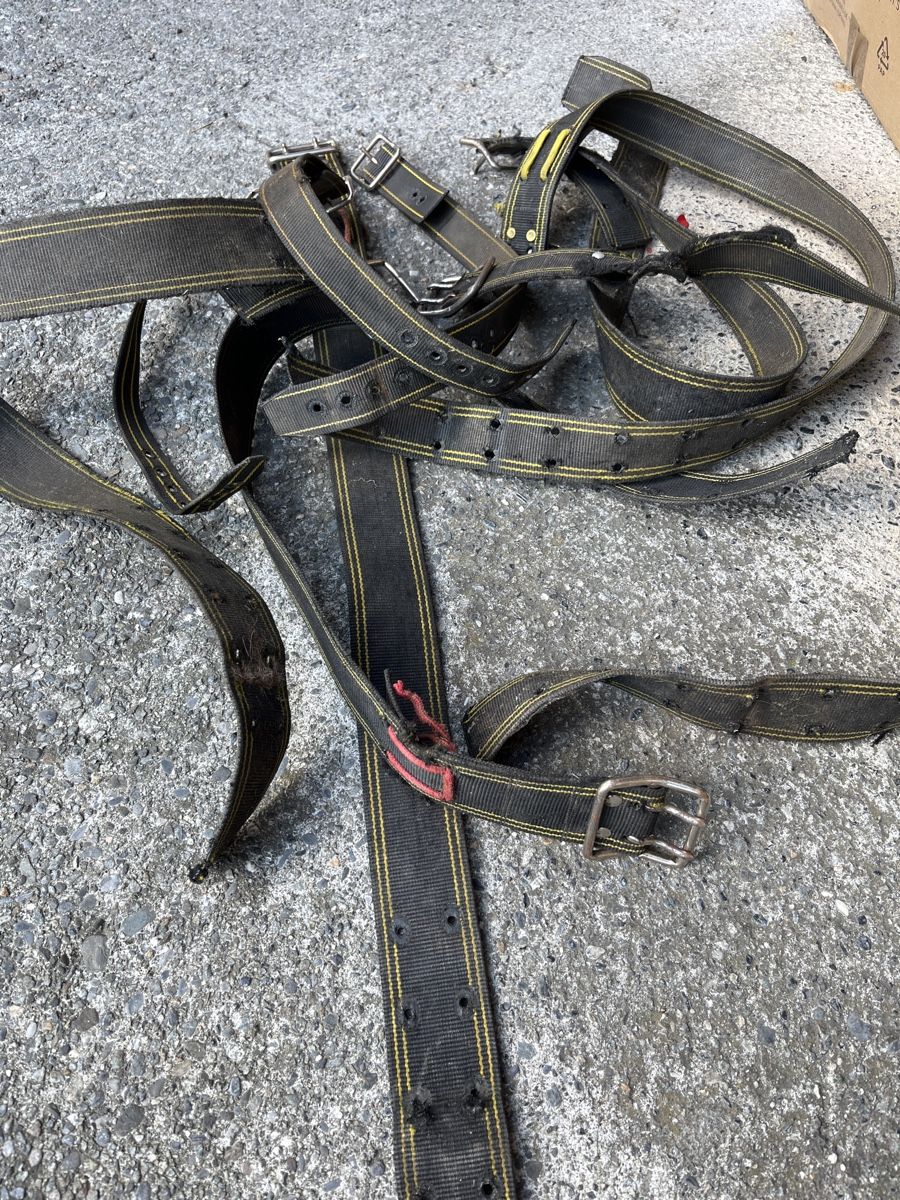 Campanacci mucche: Glocken Riemen 9 Stk – Usato da Brienz BE venduto da hey_z9vg 3