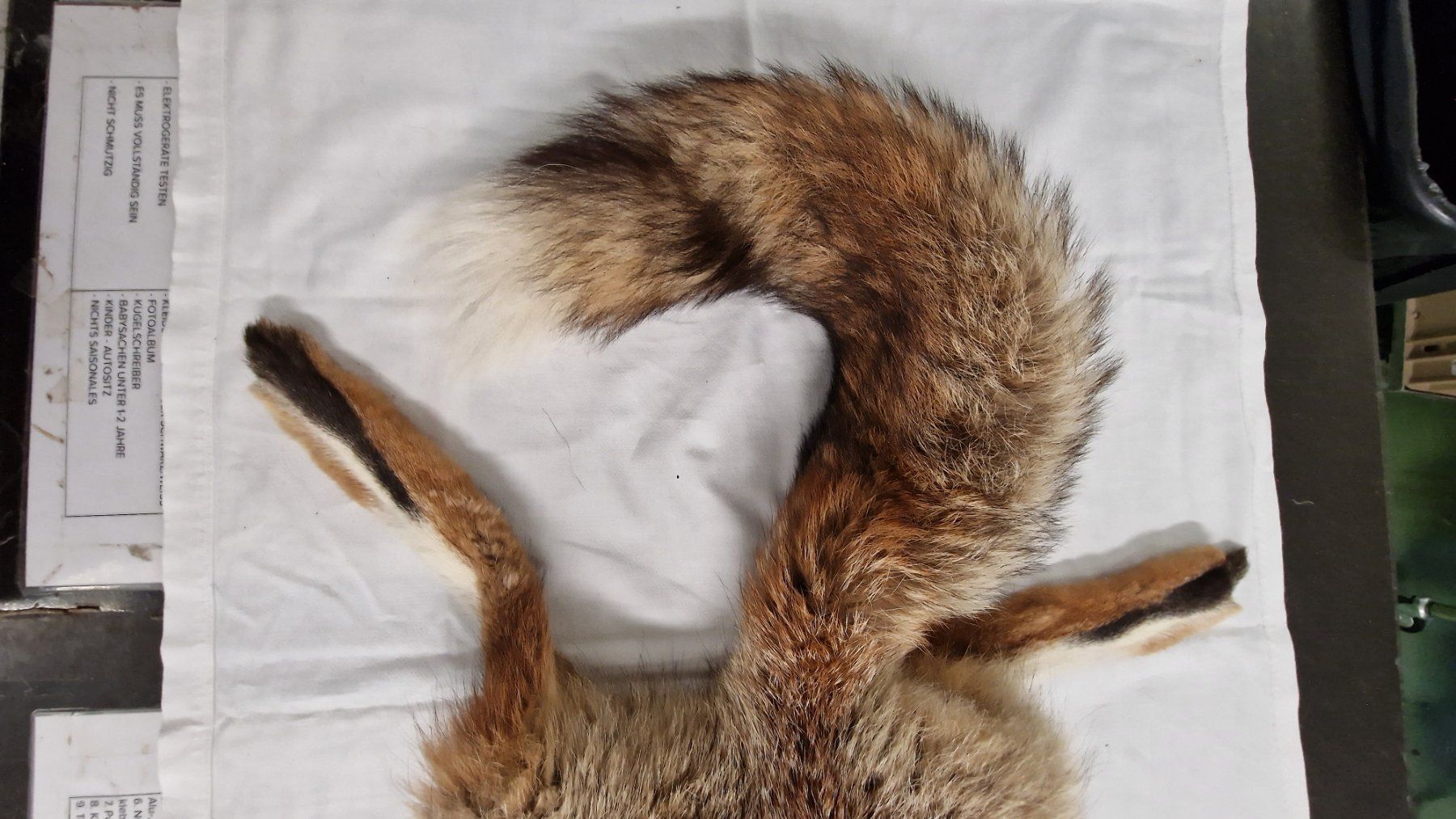 Welt der Tiere: Tierfell Fuchs – Gebraucht aus Pratteln von  2
