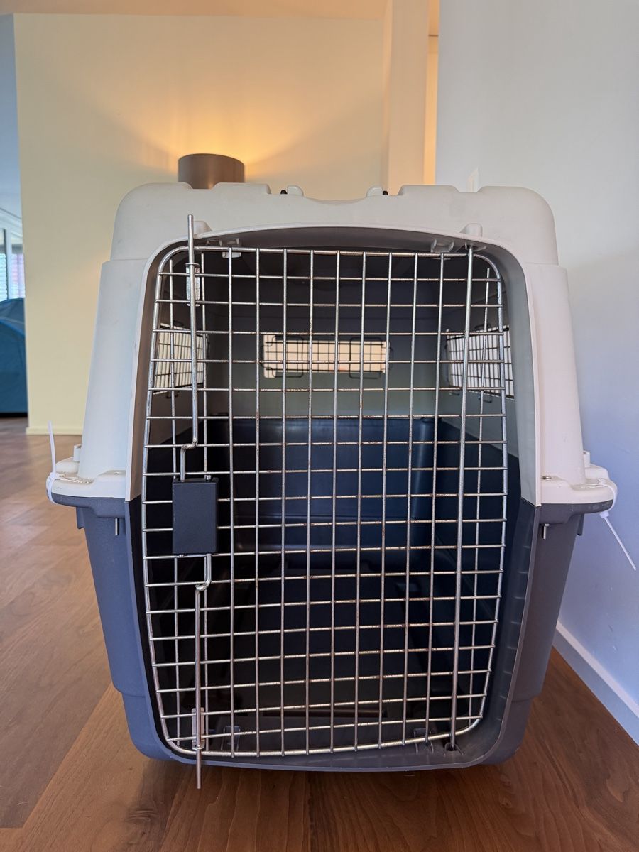 Autres décorations & accessoires: Hundebox – D'occasion à Zurich par cbauly 1
