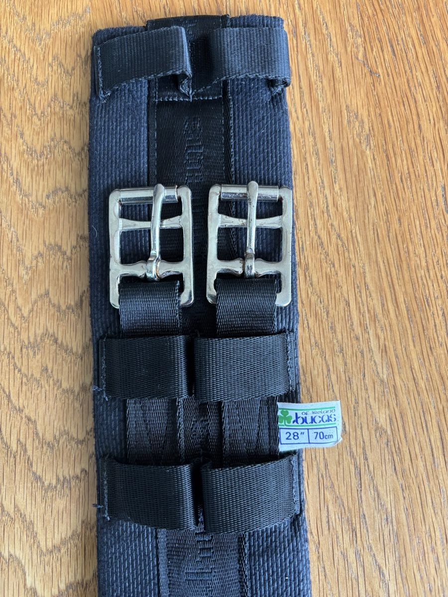 Selle & Accessori: Sattelgurt für Pony – Usato da Frauenkappelen venduto da Anneli58 3