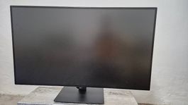 LG 43" Ultra HD 4K Monitor, Bildschirm