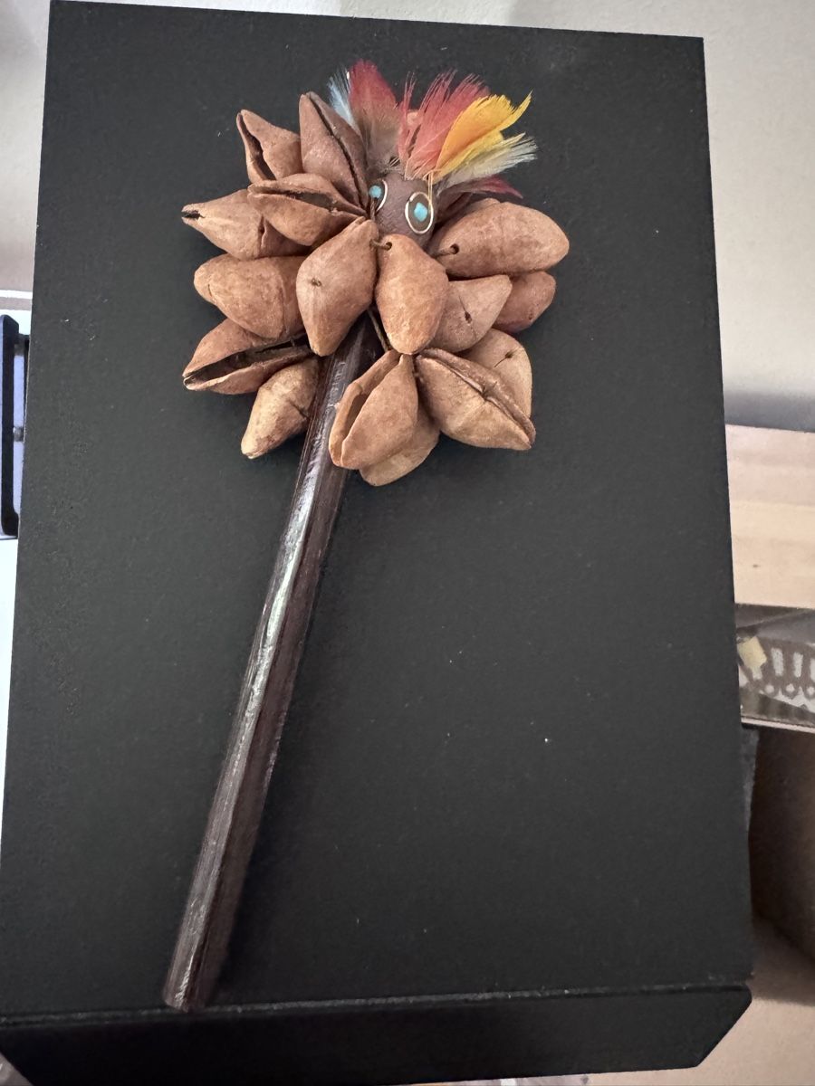 Musikinstrumente: Indigenous / Artisan-Made Instrument seed pod shaker  – Gebraucht aus Basel von Jessve8 1