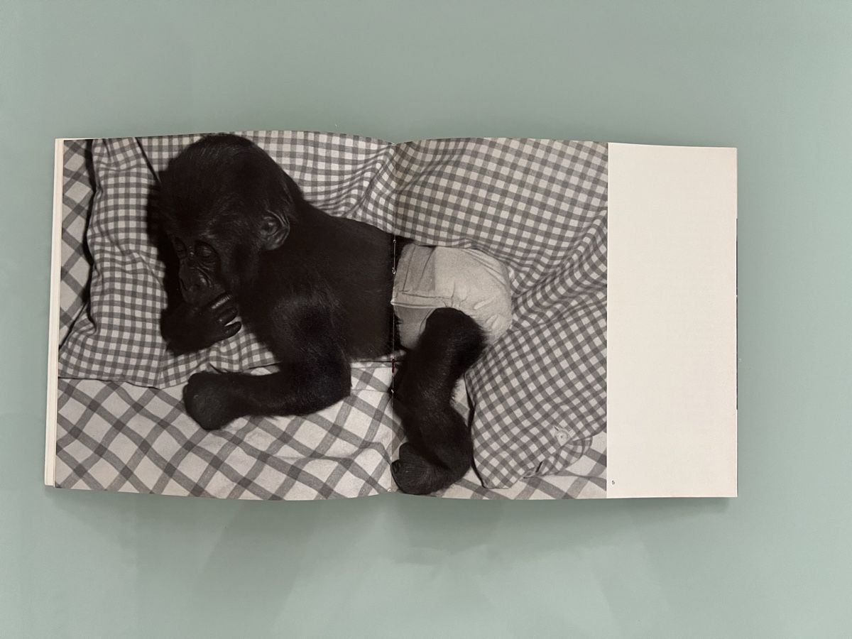 Bücher: Goma Geigy 4 Booklets – Gebraucht aus Renens VD von ale_q6bz 8