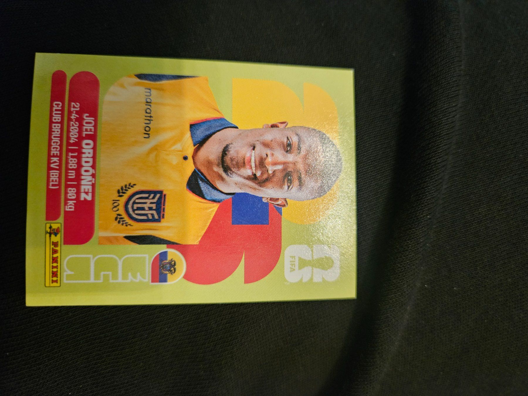Panini Sammelbilder & Trading cards: ECU8 – Gebraucht aus Würenlingen von Dinli