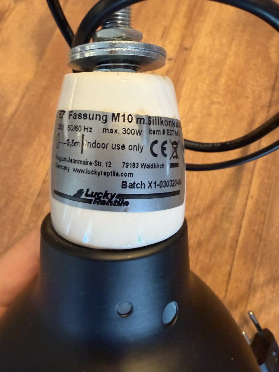 Terrario: Lampe für Terrarium – Nuovo (secondo la descrizione) da Bütschwil venduto da jon_jz72 3