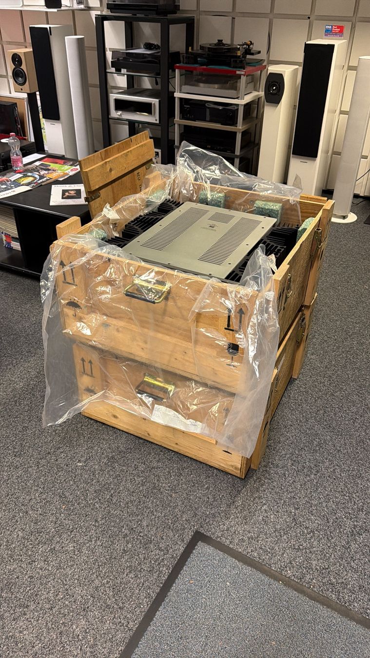 Amplificatori: Gryphon Reference One Monoblock Endstufen 300 Watt Class A – Usato da Horgen venduto da Auction-Kings 3