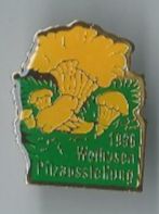 Pilzausstellung Weinfelden 1996, Pin