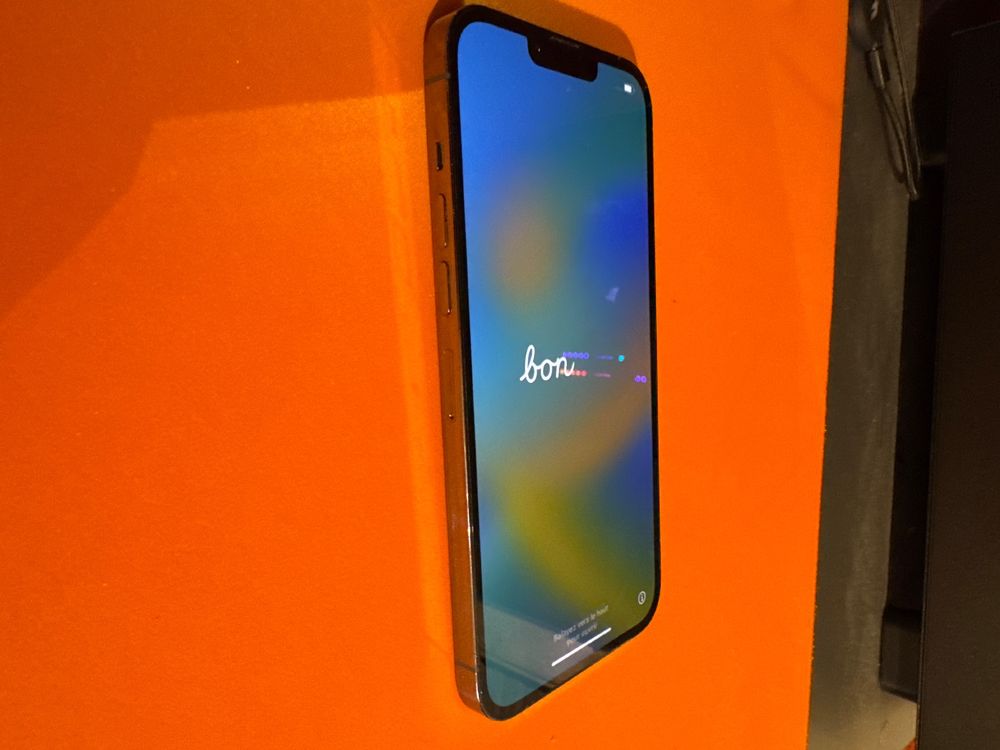 Apple Iphone 13 Pro Max 256GB Kaufen auf Ricardo