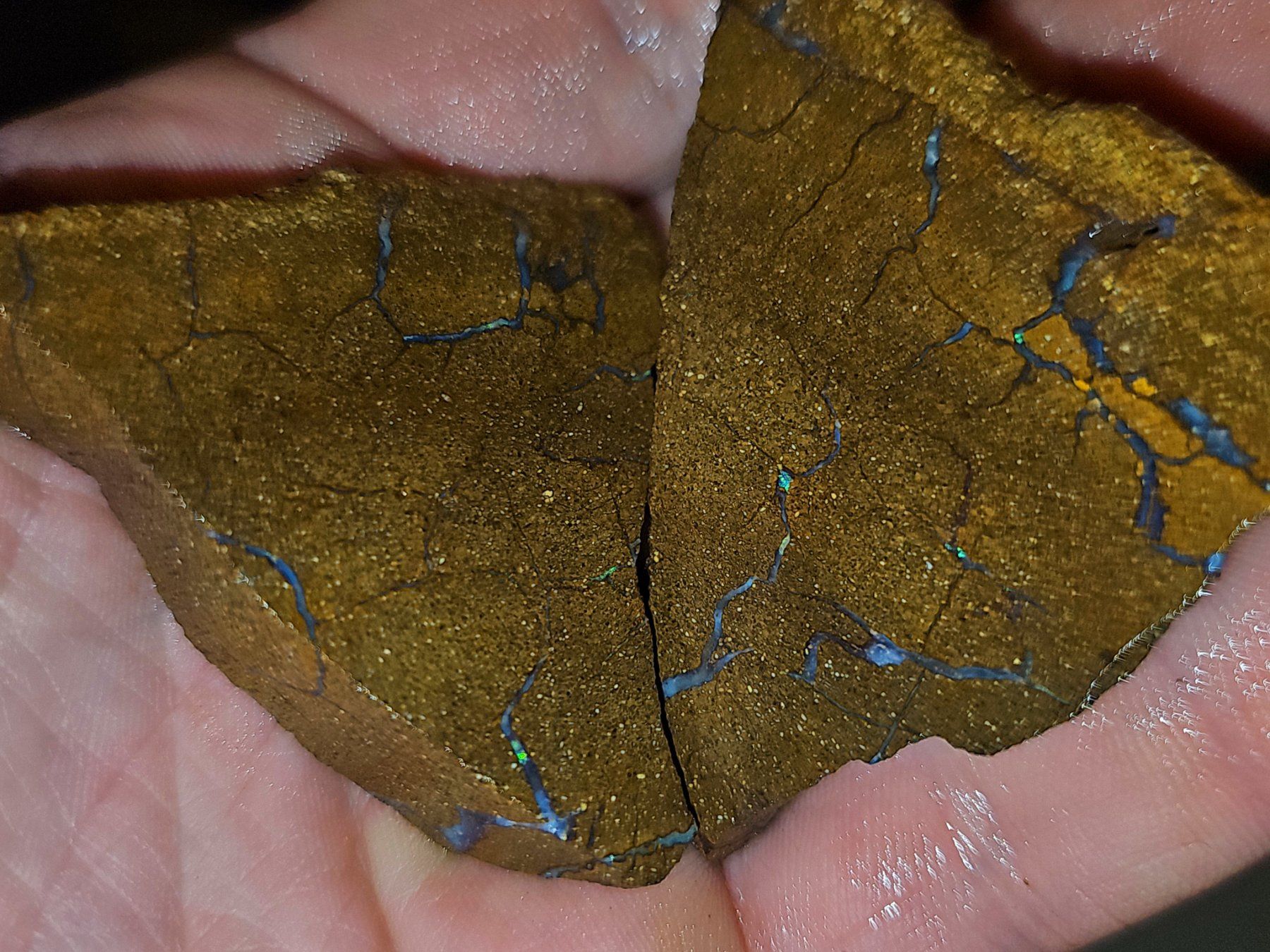 Pierres précieuses: Grosses Australisches Boulderopal Rohstein Paar – Neuf avec emballage d'origine à Uerkheim par Winwinner 6