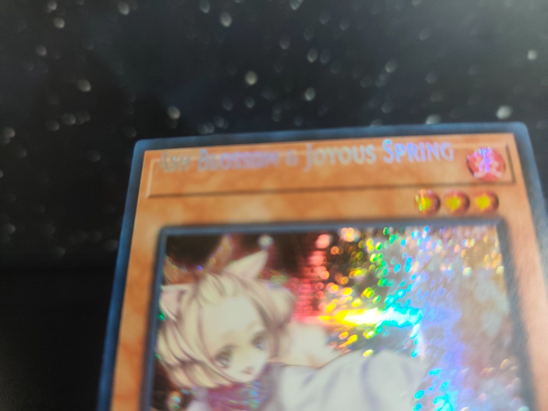 Yugioh Carte collezionabili: NAMESHIFT | Ash blossom & joyous spring | English | Yugioh – Usato da St.Gallen venduto da SammelSucht 1