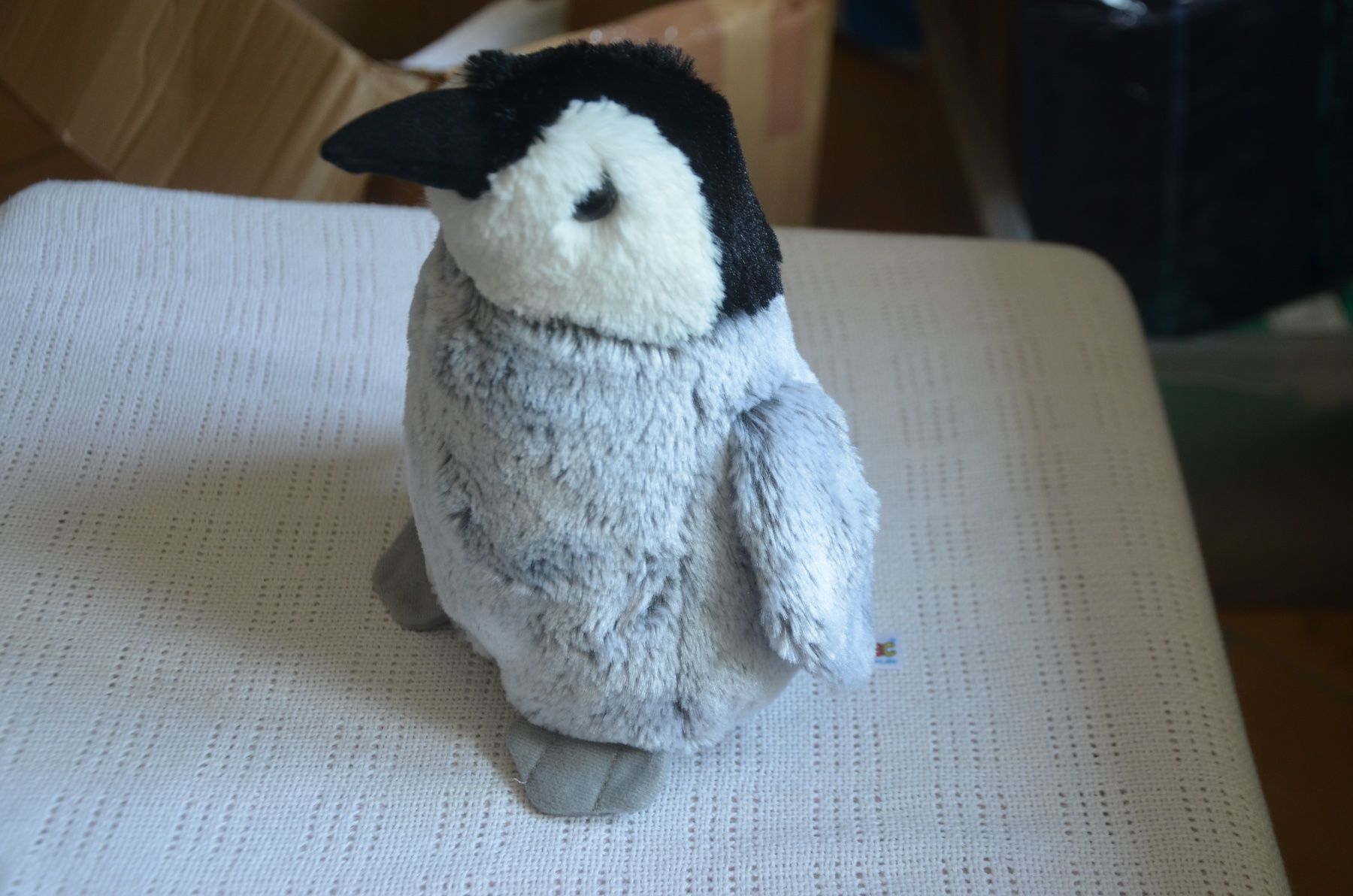 Giocattoli: PELUCHE PINGUIN – Usato da Chiasso venduto da Dolly015