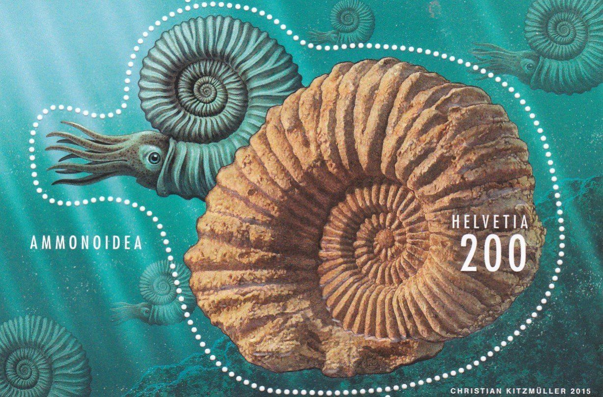 Tutti i francobolli: Postfrisch Block Ammonoidea 2015 – Nuovo e nell'imballaggio originale da Schliern b. Köniz venduto da joni20