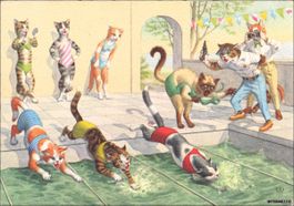 Katzenkarte // Ansichtskarte alt farbig