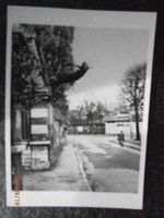 Carte  postale noir/blanc