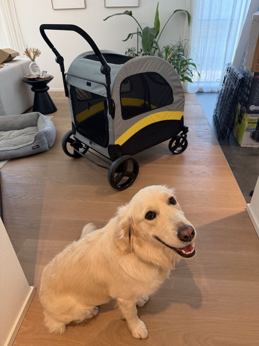 Kinderwagen: BingoPaw Foldable Heavy-Duty Dog Stroller – Neu (gemäss Beschreibung) aus Basel von clo_nf7n 4