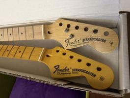 Manches fender stratocaster