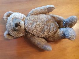 Antiker Teddybär