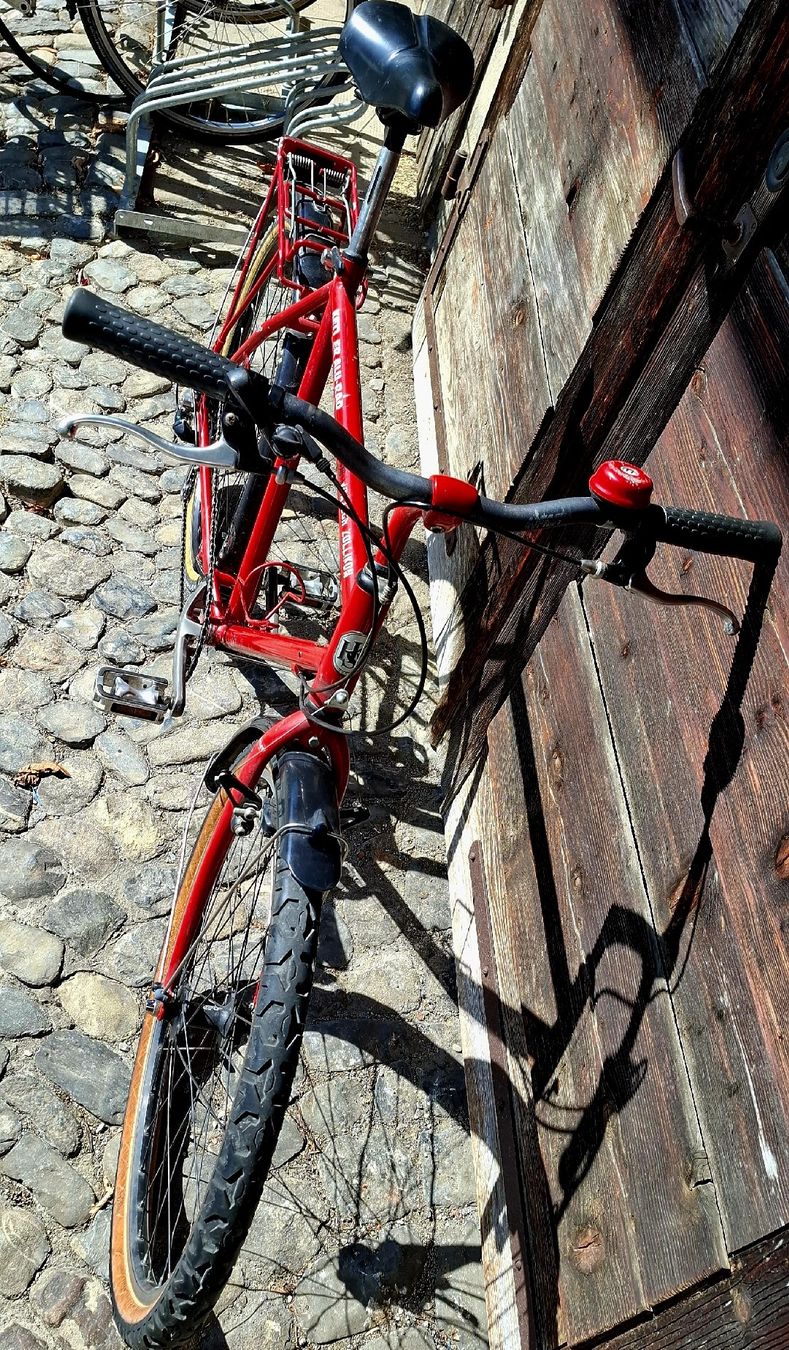 Biciclette: KETLER MTB Gr 21" – Usato da Adliswil venduto da trujillo01 5