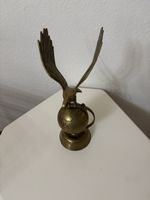 Très belle aigle