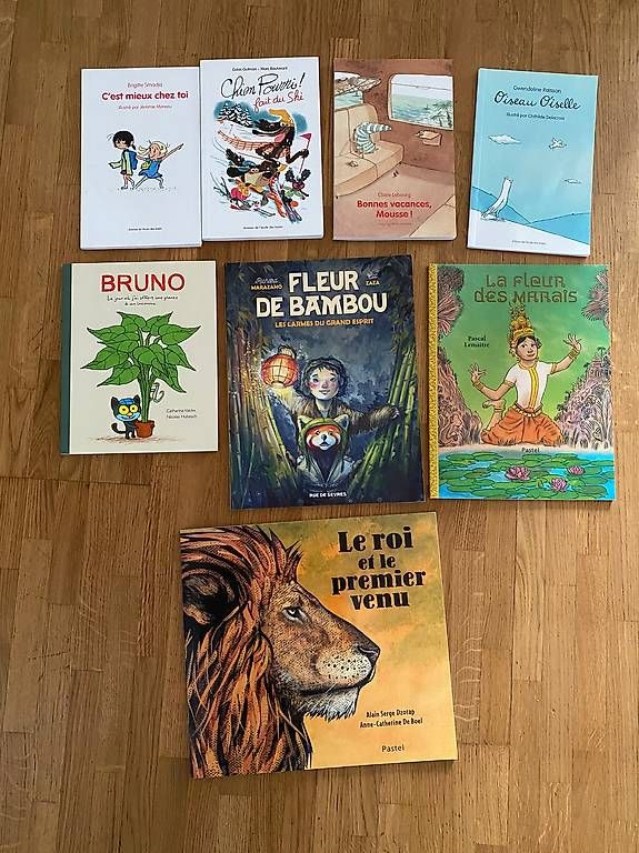 Bücher: Livre animax 7-9 ans 4P – Gebraucht aus Genève von ger_7jy8