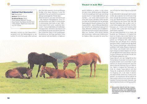 Libri: Ponys & Kleinpferde – Nuovo (secondo la descrizione) da Sarnen venduto da Livres 3