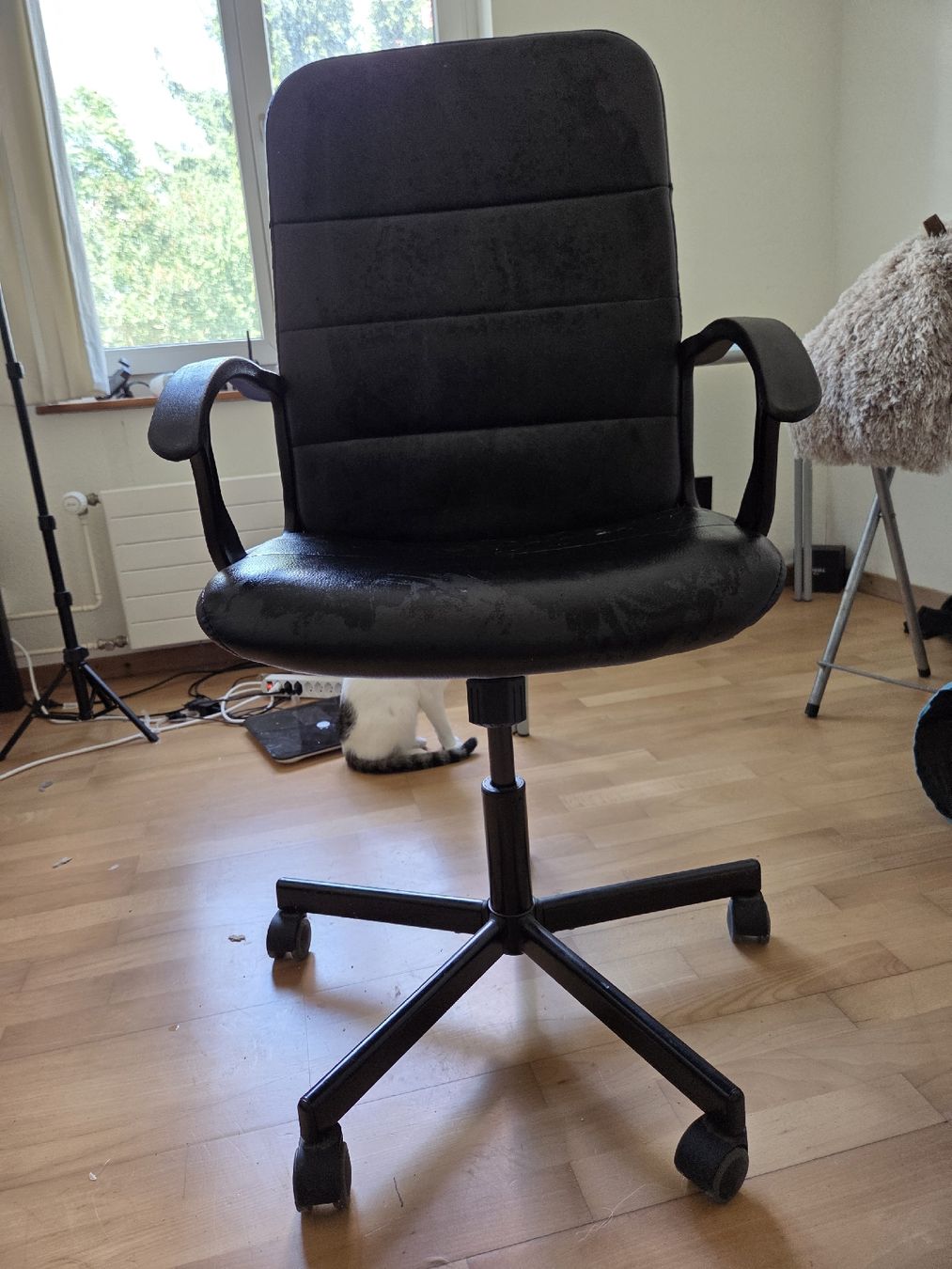 Sedie: Office Chair with Glass Table used condition – Usato da Zürich venduto da han_kf9f 1