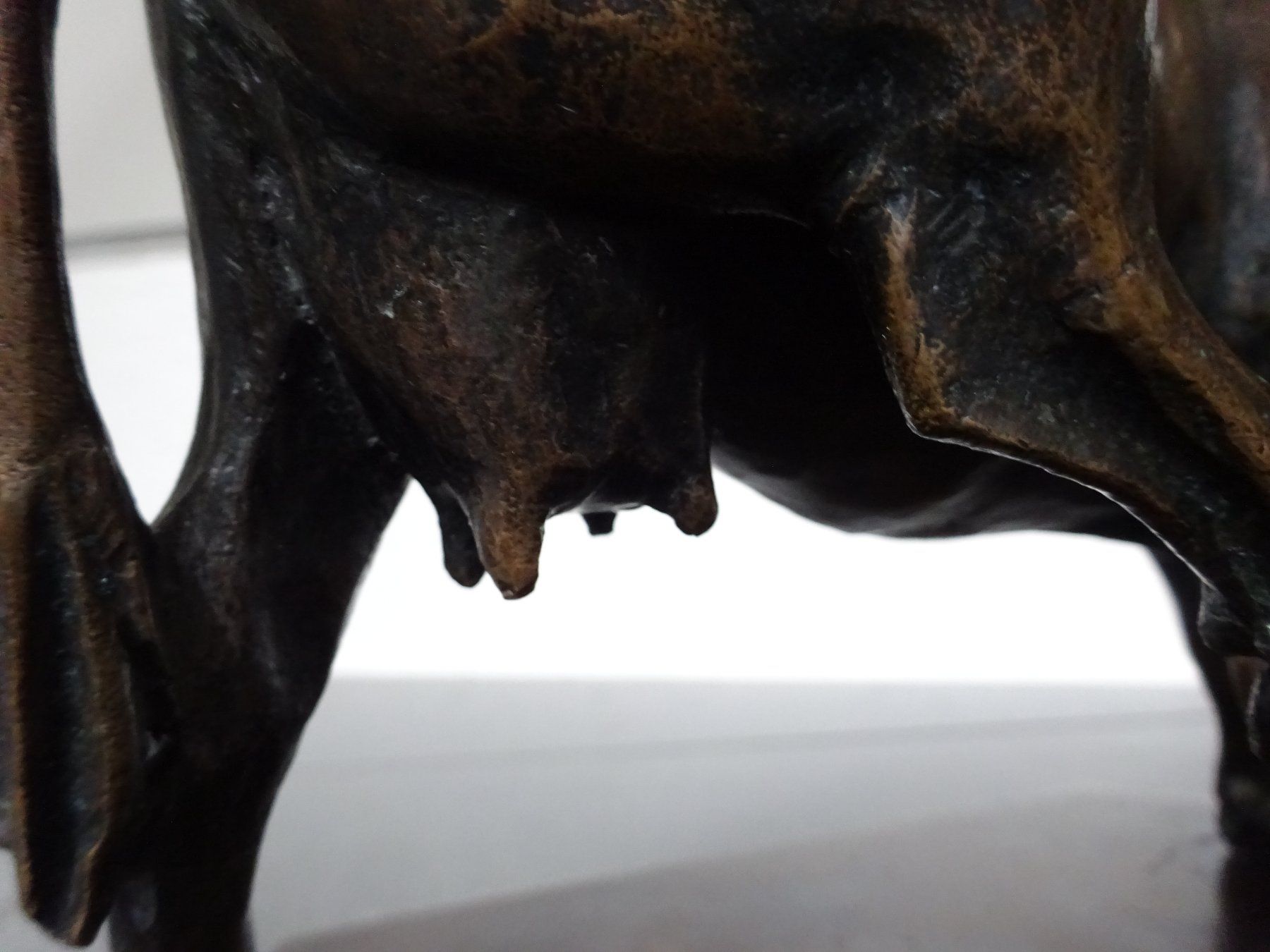 Sculture & Statue: Hochwertige Bronze Kuh – Usato da Esslingen venduto da eintagammeer 4