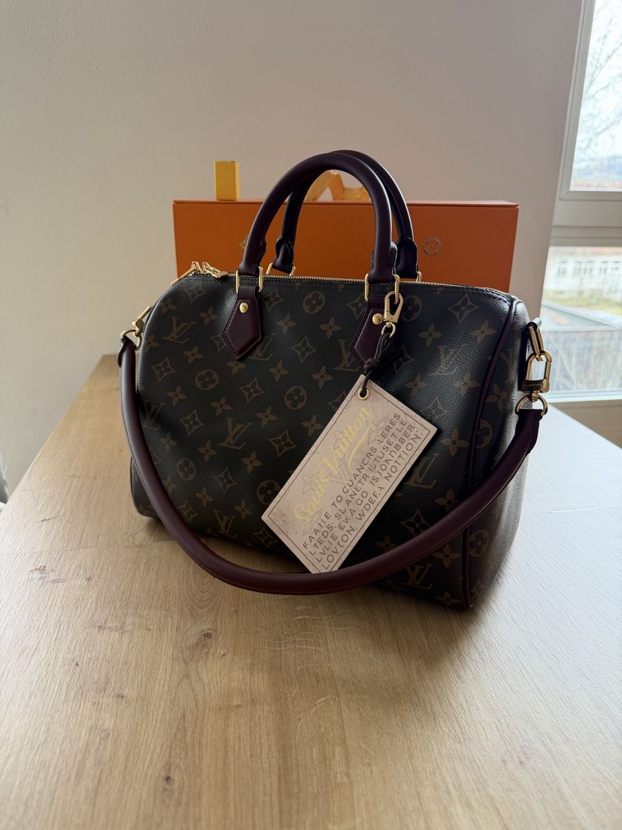 Louis Vuitton Borse da donna: Louis Vuitton Speedy Soft – Usato da Rebstein venduto da gad_gz8q 5