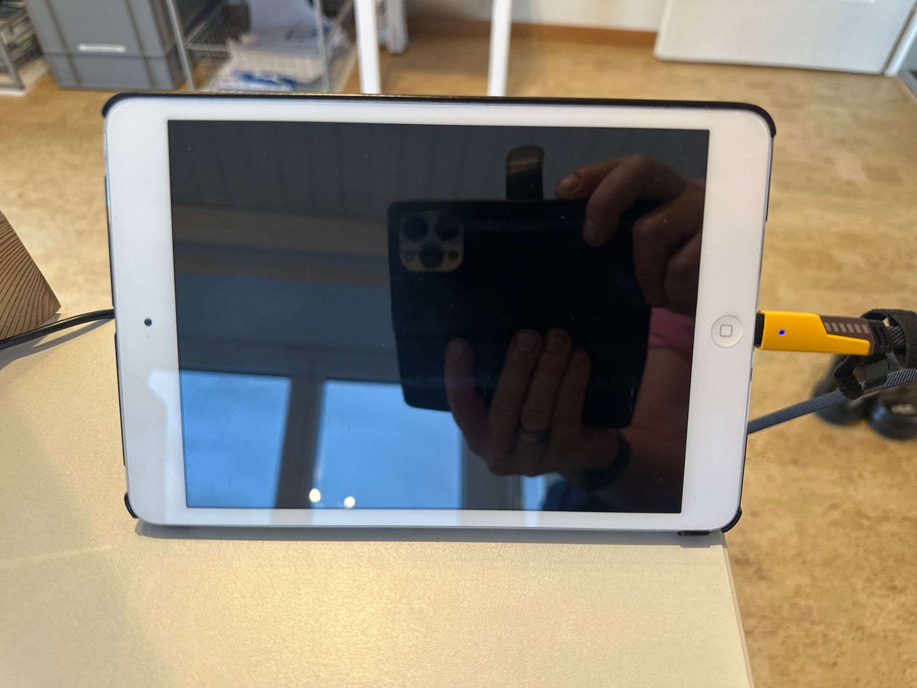 Apple Tablet PC: I Pad Mini  Late 2012 – Usato da Walzenhausen venduto da Appi1