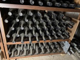 Weinsammlung 12 Stück  Flaschen Rotwein Kellerlagerung