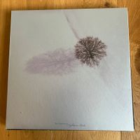 The Gathering – Nighttime Birds  farbiges Vinyl