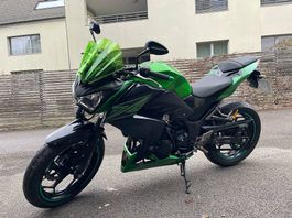 Kawasaki Z300 ABS  gepflegt, zuverlässig & mit LeoVince