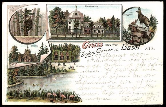 Cartoline postali: Litho Basel, Zoologischer Garten mit Ele – Usato da Berlin venduto da bartko-reher