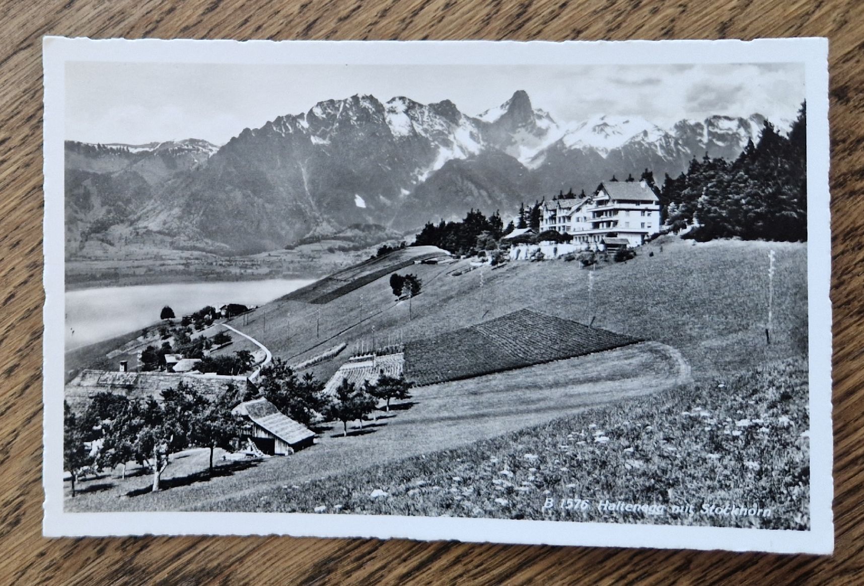 Cartes postales: Haltenegg – D'occasion à Ebikon par Donar50